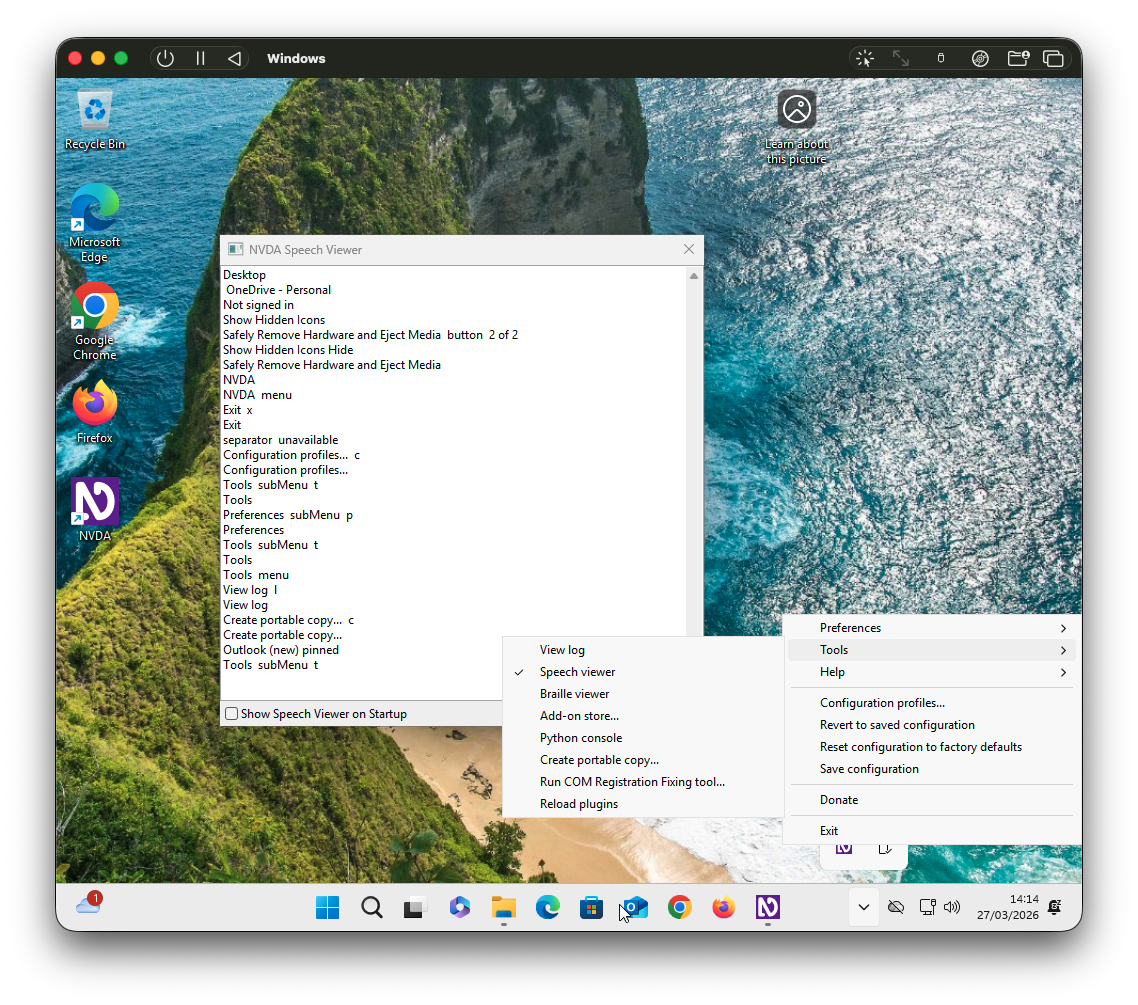 Screenshot of the NVDA speech viewer