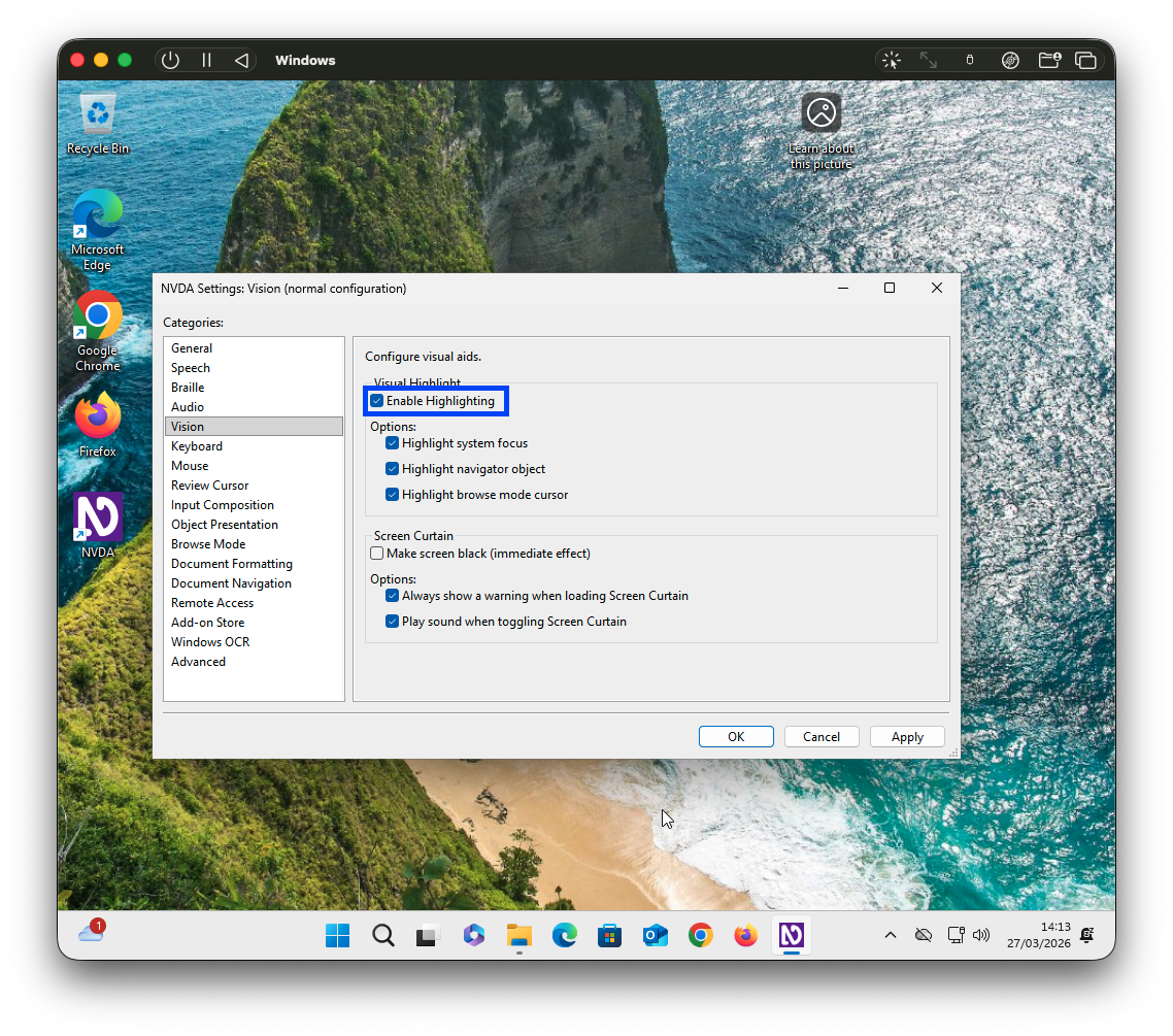 Screenshot of vision settings dialog showing the visual highlight setting ticked